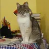 Отзыв от Дарья Зеленина